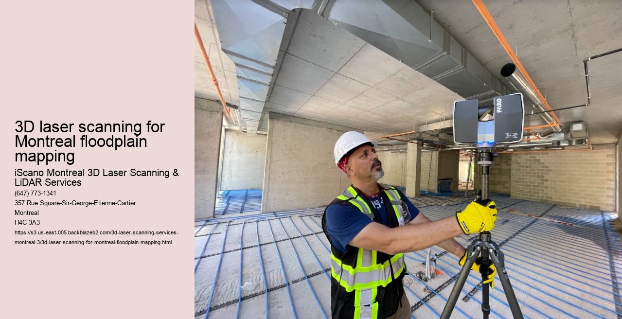3D laser scanning for Montreal floodplain mapping