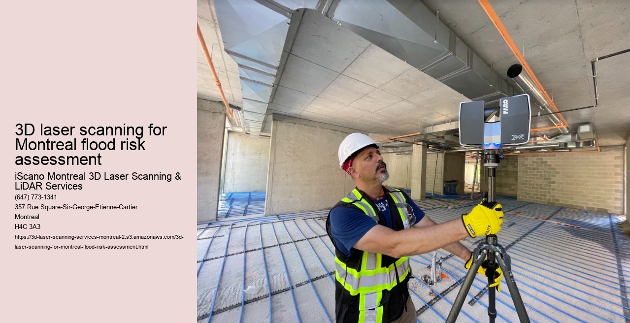 3D laser scanning for Montreal flood risk assessment
