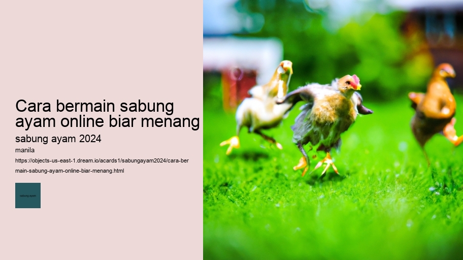 cara bermain sabung ayam online biar menang