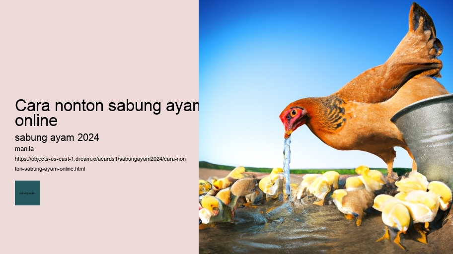 cara nonton sabung ayam online
