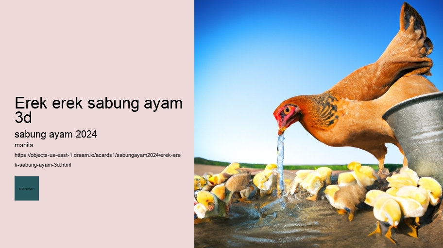 erek erek sabung ayam 3d