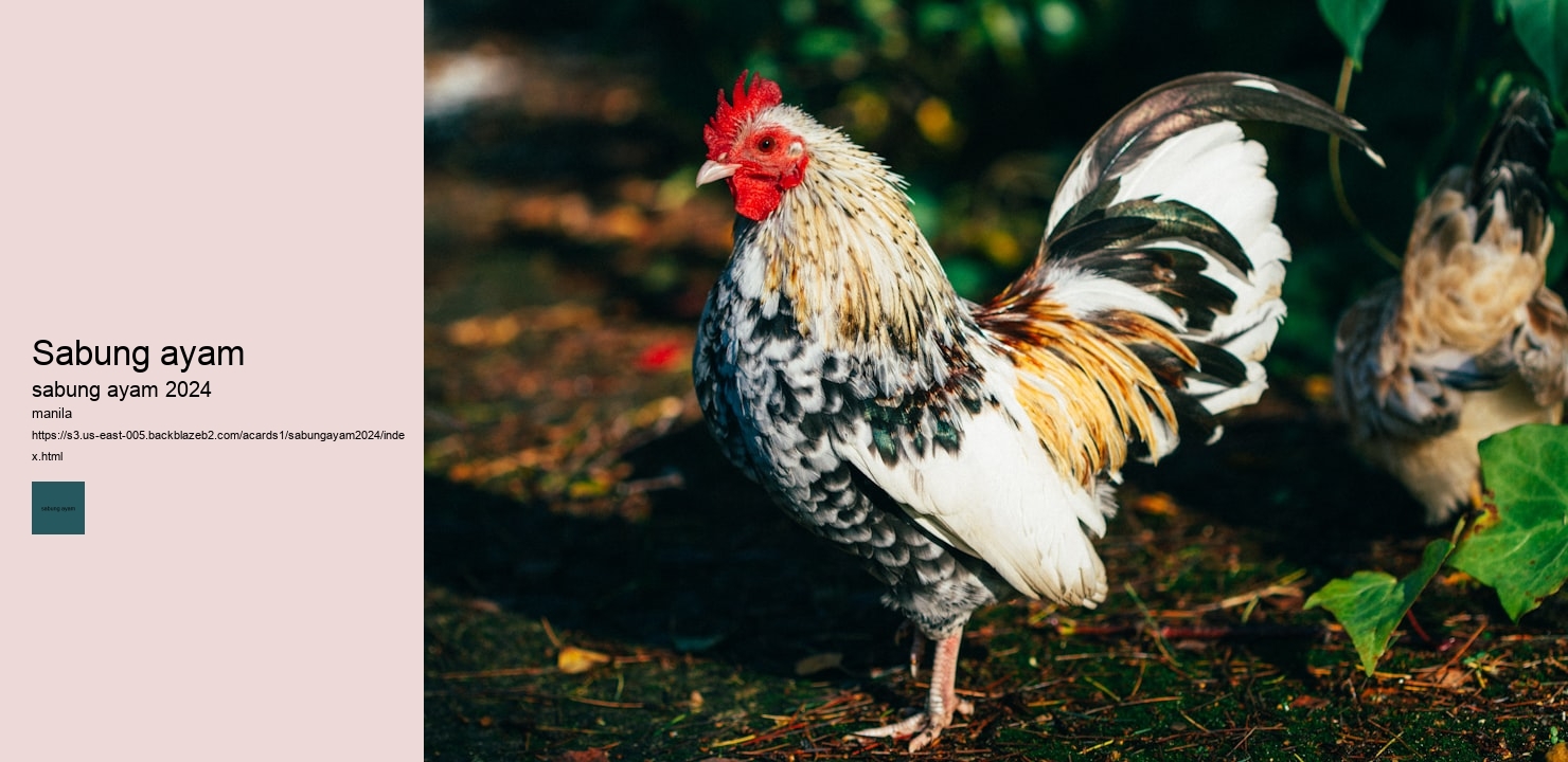 slot yang ada sabung ayam