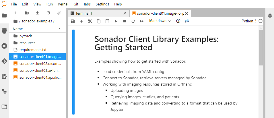 Sonador Quickstart: JupyterLab Example Notebook