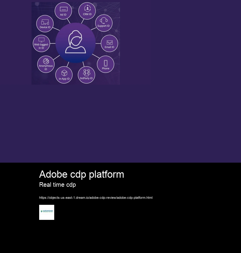 Adobe cdp platform Real time cdp What are the modules of Adobe Real-Time CDP?