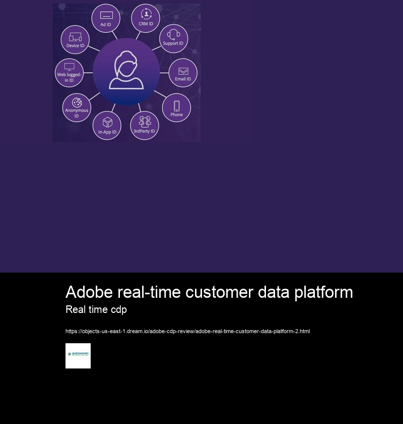 Adobe real-time customer data platform