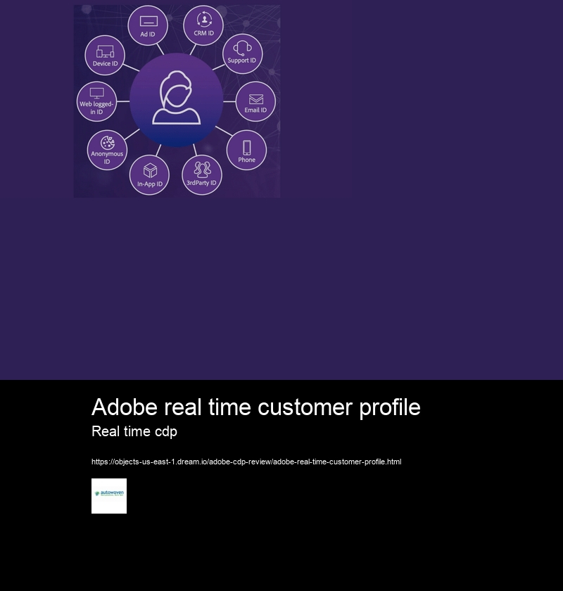 Adobe real time customer profile