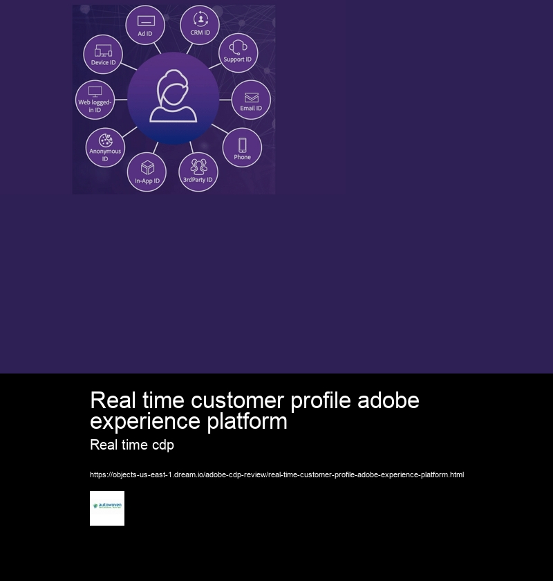 Real time customer profile adobe experience platform Real time cdp Can you provide information about the Adobe CDP API?