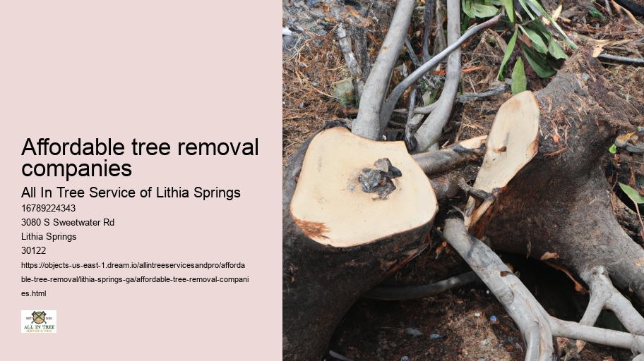 Affordable tree removal companies
