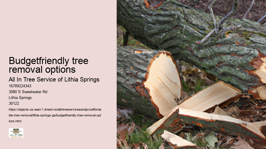 Budgetfriendly tree removal options