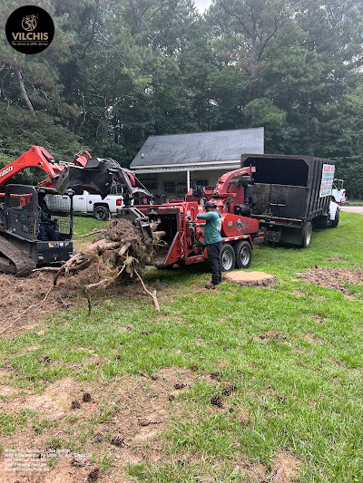 Tips for finding affordable yet reliable tree removal services in Lithia Springs, GA
