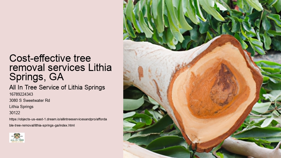 Cost-effective tree removal services Lithia Springs, GA
