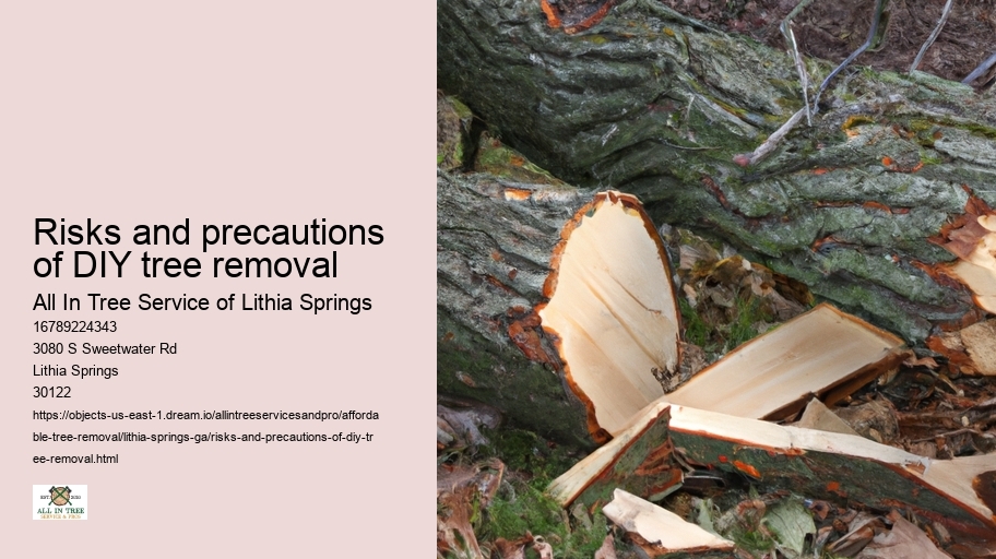 Risks and precautions of DIY tree removal