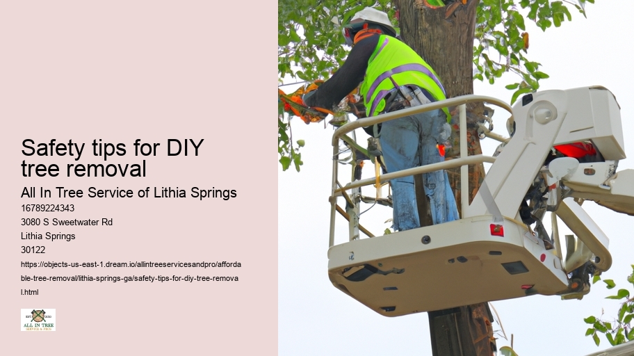 Safety tips for DIY tree removal
