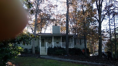 Comparison of prices and services offered by different tree removal companies in Lithia Springs, GA