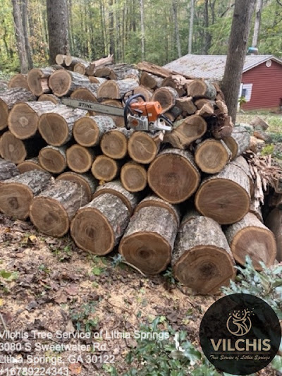 Application process for government tree removal programs