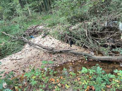 Cost Factors Influencing Tree Removal Services in Powder Springs, GA