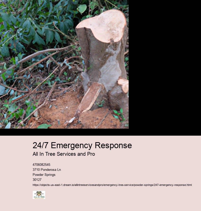 24/7 Emergency Response