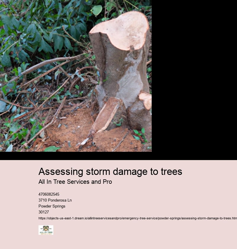 Assessing storm damage to trees
