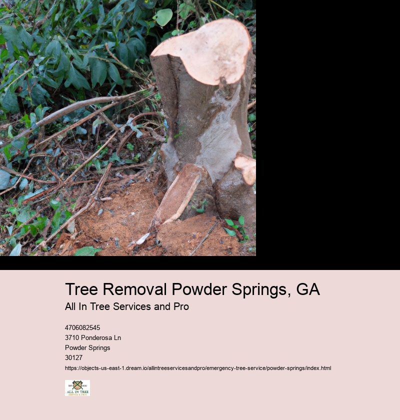 Tree Removal Powder Springs, GA