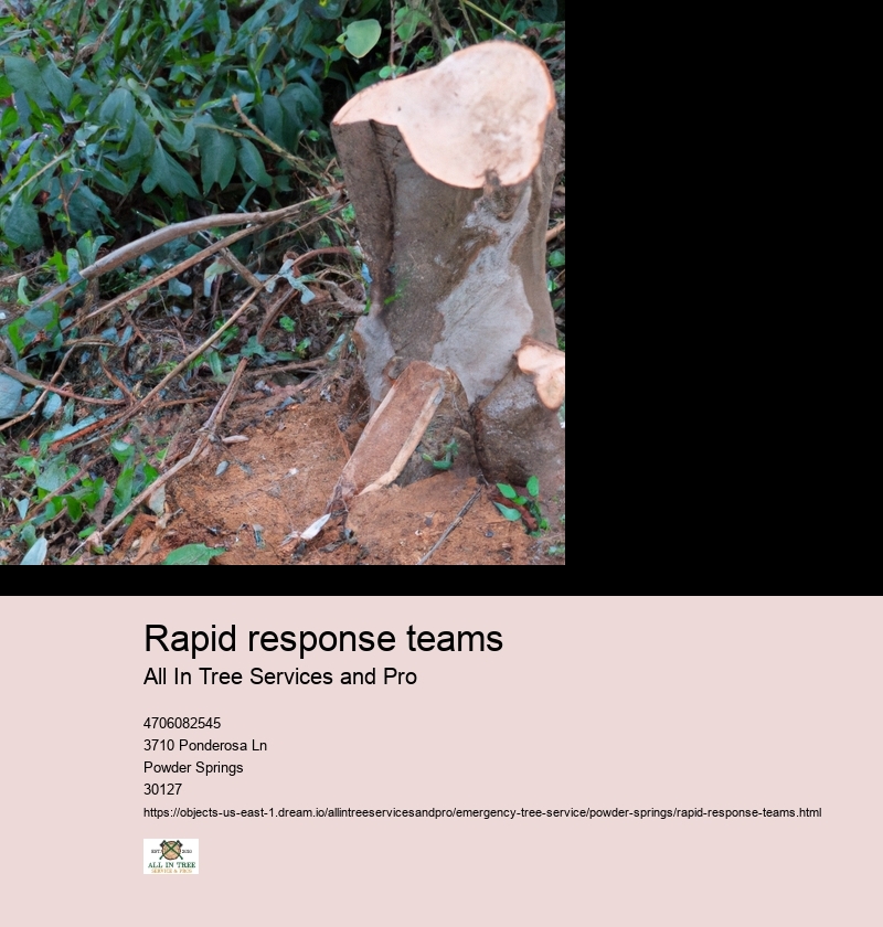 Rapid response teams