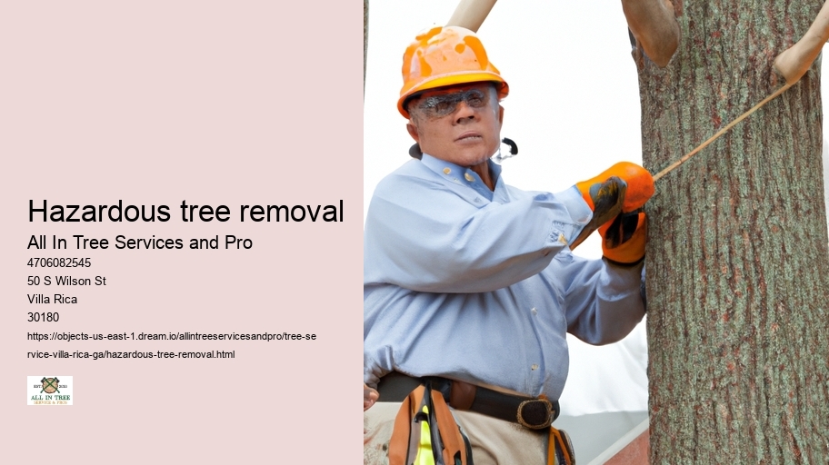 Hazardous tree removal