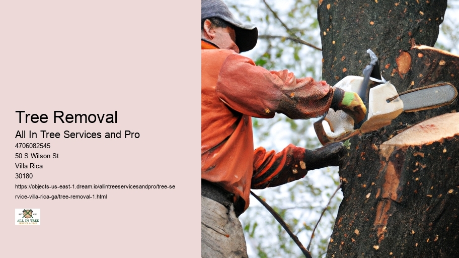 Tree Removal