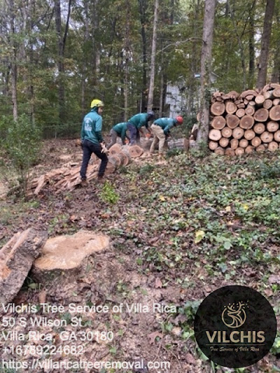 Safety precautions during tree removal