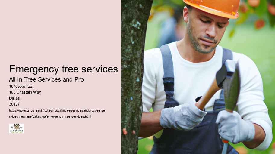 Emergency tree services