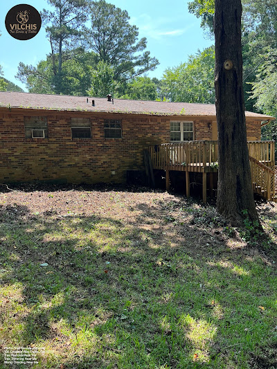 How to find tree services near me in Dallas, GA