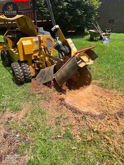 Potential dangers of ignoring tree emergencies
