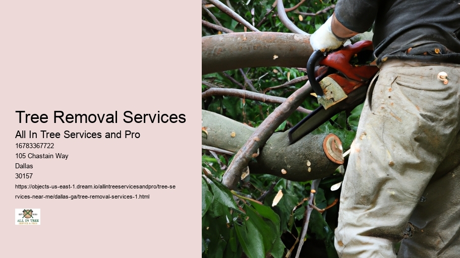 Tree Removal Services