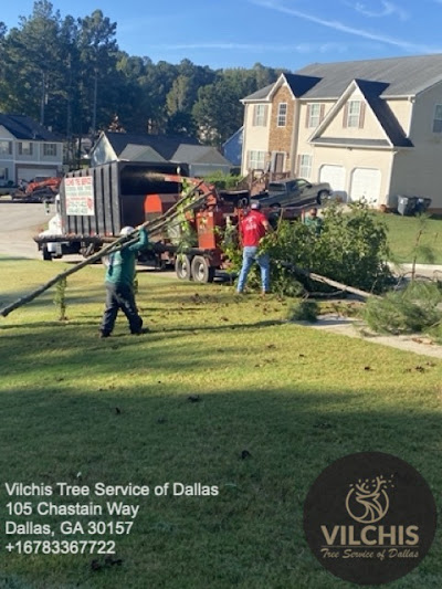 Factors to consider when choosing a tree service company