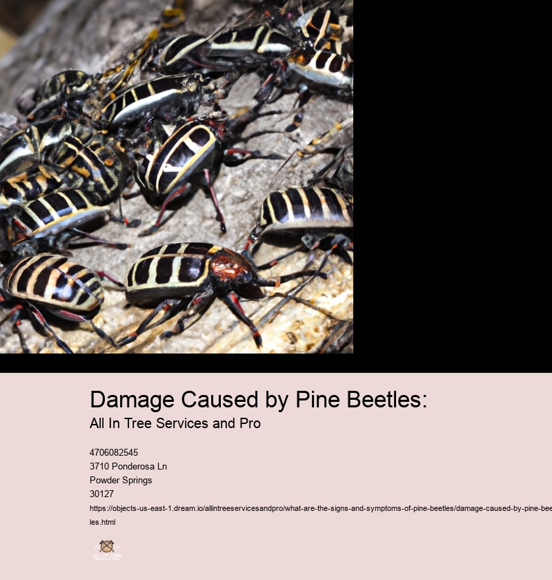 Damage Caused by Pine Beetles: