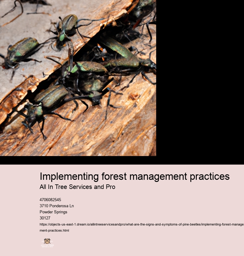 Implementing forest management practices