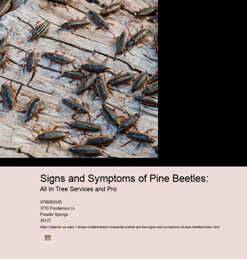 Signs and Symptoms of Pine Beetles: