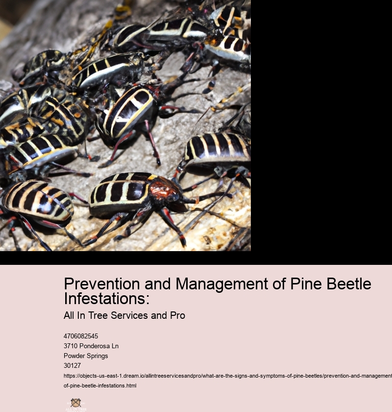 Prevention and Management of Pine Beetle Infestations: