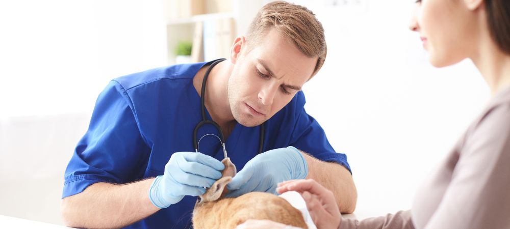 How to Keep Your Pet Healthy and Happy: Expert Tips Revealed!