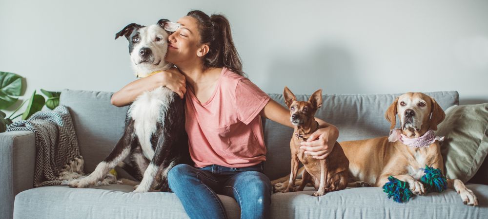 What is a balanced diet for maintaining optimal pet health?