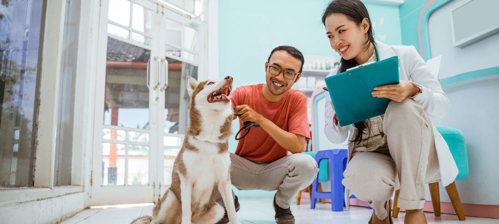 What is the importance of regular veterinary check-ups for pet health?