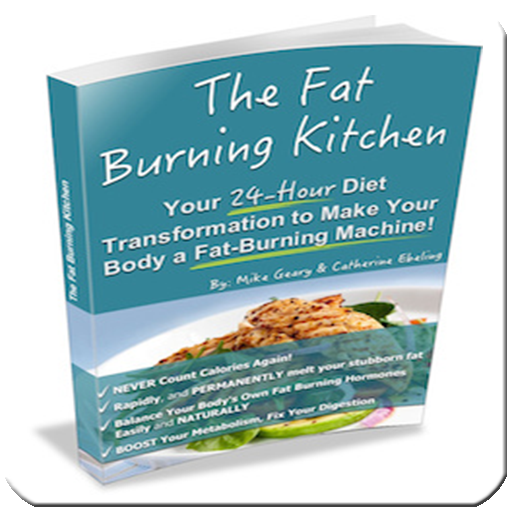 the fat burning kitchen book
