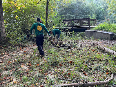 Common Scenarios Leading to Bodily Injury Claims in Tree Service