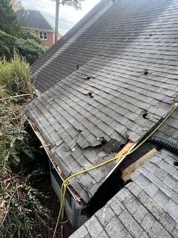 Cost-Benefit Analysis of Rehabilitation Coverage for Tree Service Businesses