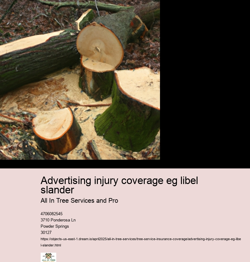 Advertising injury coverage eg libel slander