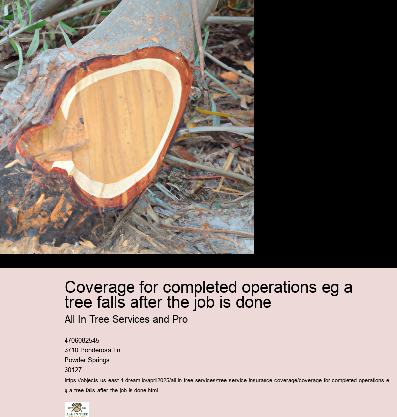 Coverage for completed operations eg a tree falls after the job is done
