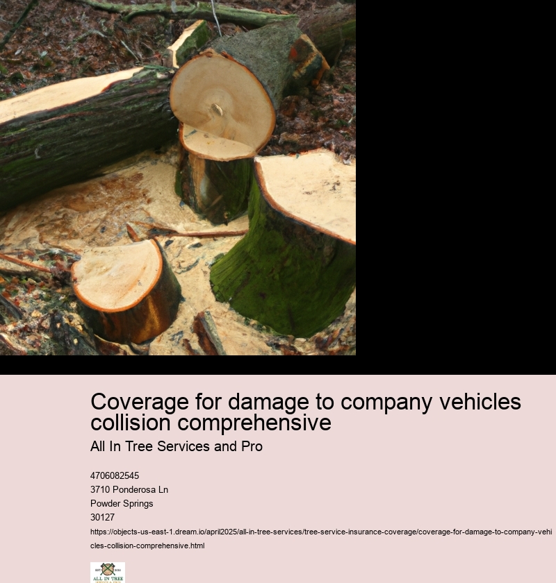 Coverage for damage to company vehicles collision comprehensive