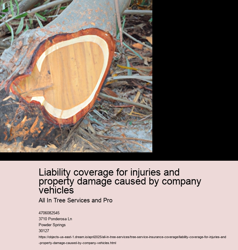 Liability coverage for injuries and property damage caused by company vehicles