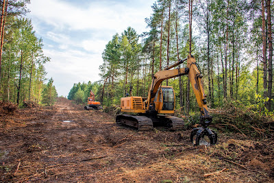 Methods of Tree Fertilization: Soil Application, Foliar Spraying, and Trunk Injection