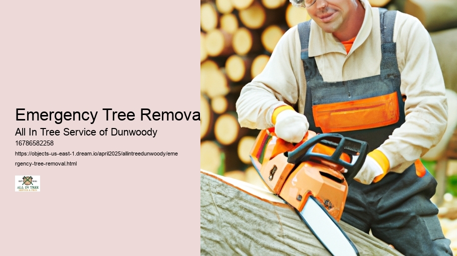 Emergency Tree Removal