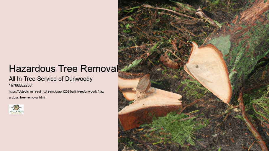 Hazardous Tree Removal