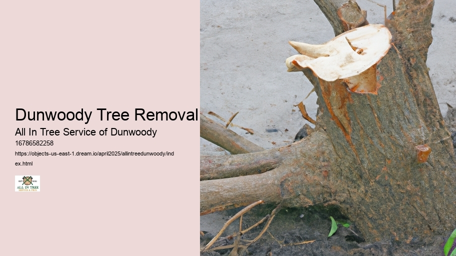 Dunwoody Tree Removal
